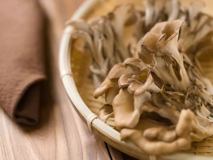 Maitake Descubre los beneficios de este hongo innovador en la salud y