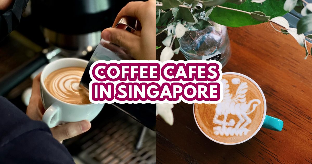 Best Coffee Cafes in Singapore The Ultimate Guide