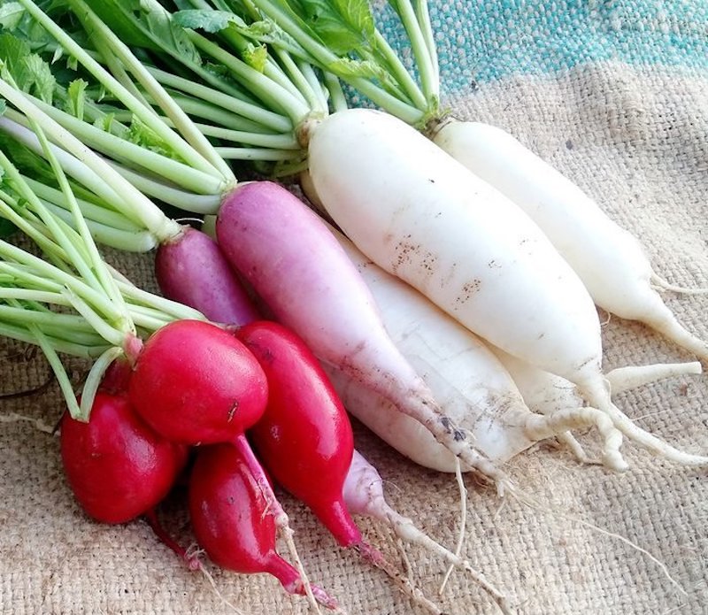 Produce explained 7 essential root vegetables you need in your kitchen