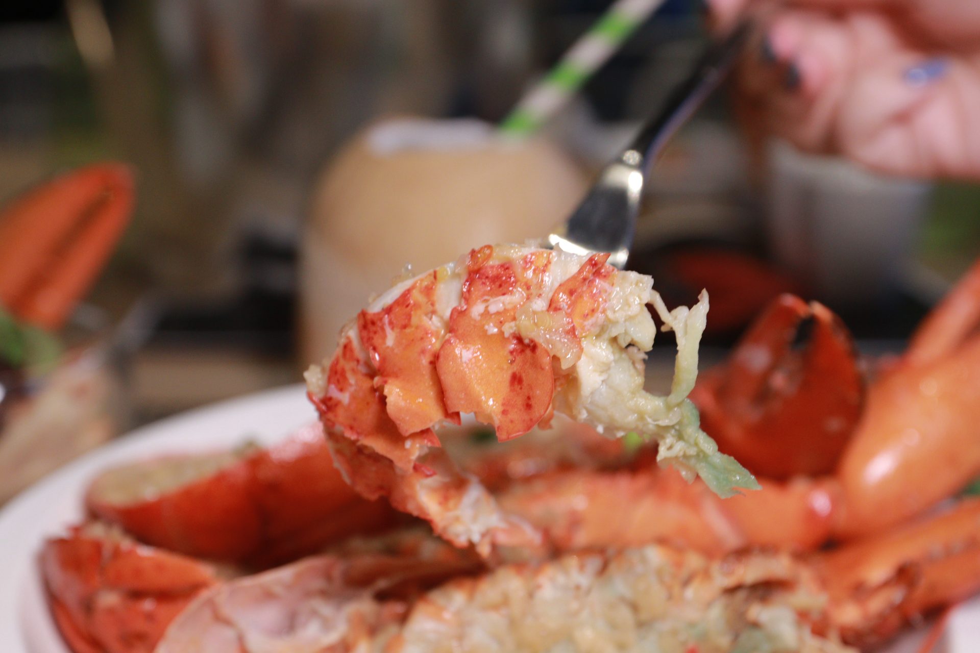 PARKROYAL COLLECTION Lobsterfest 2022 Sink your claws into unlimited