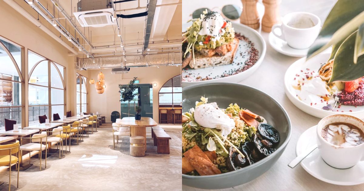 New in town Well Collective — Petfriendly cafe with Japaneseinspired