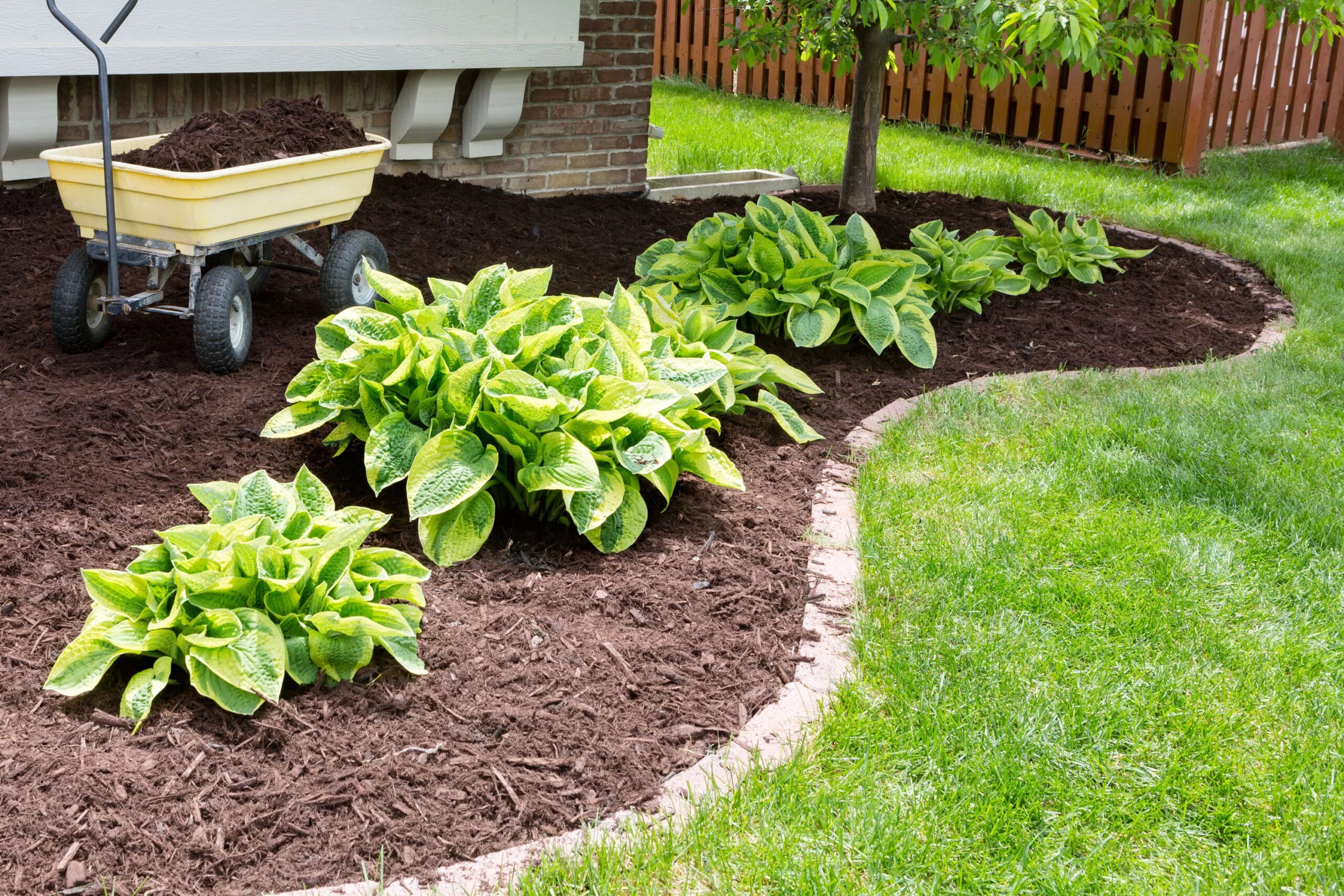 Specialized Environmental Technologies, Inc. SET & The Mulch Store