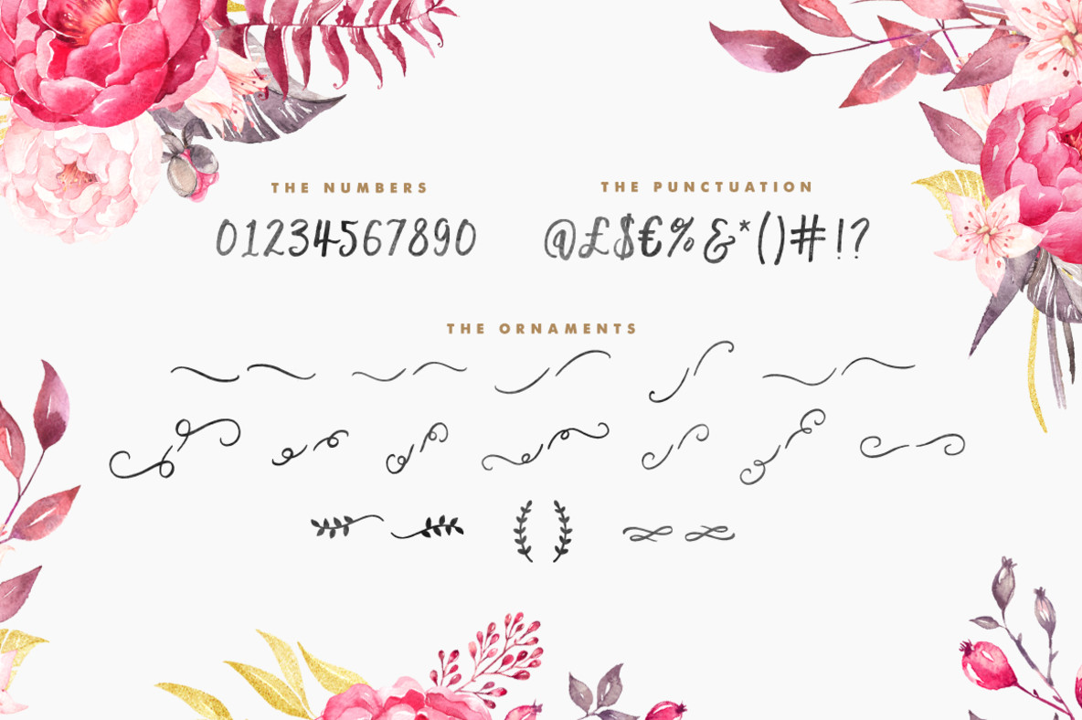 Madina Script (New Update) Set Sail Studios