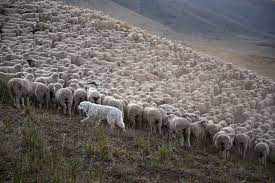 22. 02. 2022 SETTING THE TONE