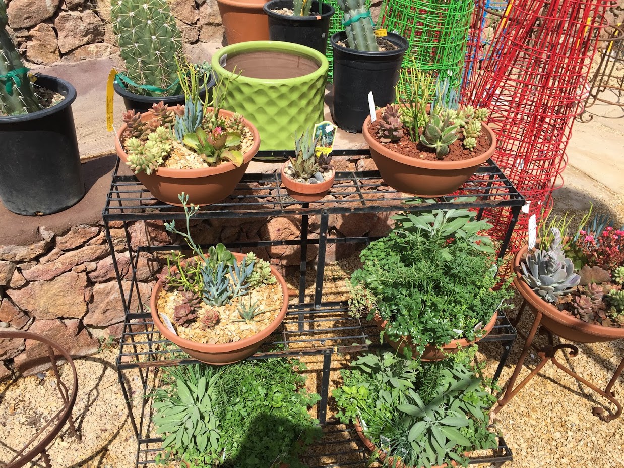 A morning at Sierra Vista Growers — A Family Blog