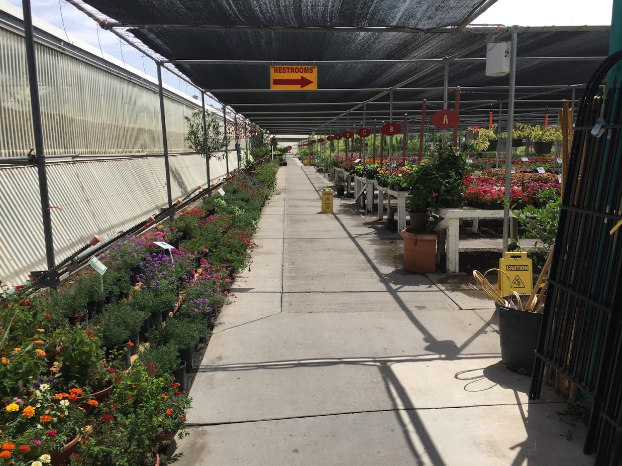 A morning at Sierra Vista Growers — A Family Blog