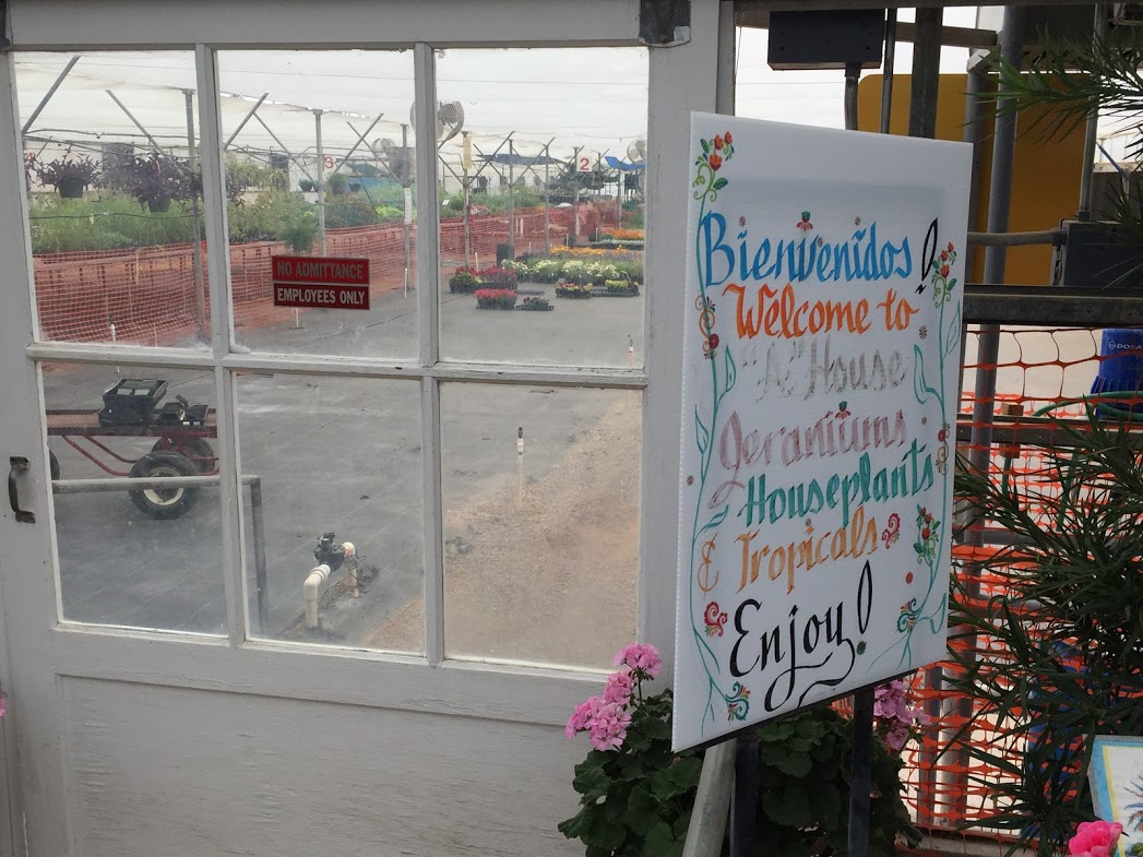 A morning at Sierra Vista Growers — A Family Blog