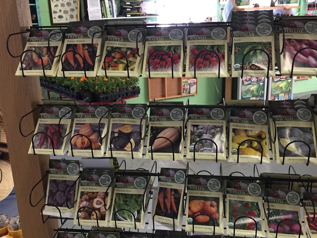 A morning at Sierra Vista Growers — Settle in El Paso