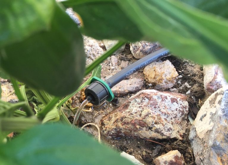 Drip line irrigation DIY for a home garden — A Family Blog