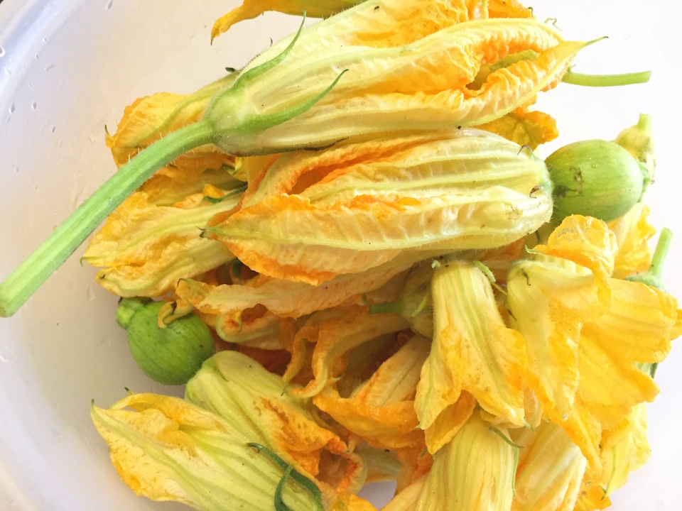 A squash blossom recipe — A Family Blog