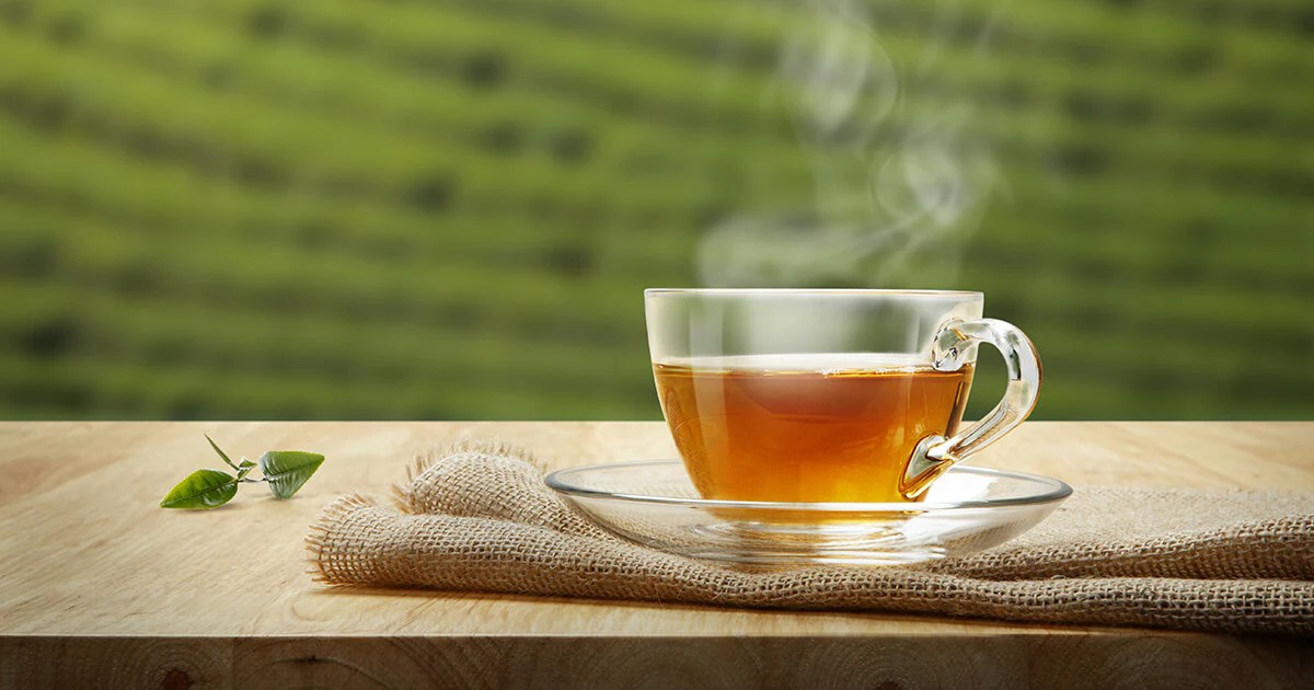 Can Green Tea Be Harmful? Setu Nutrition