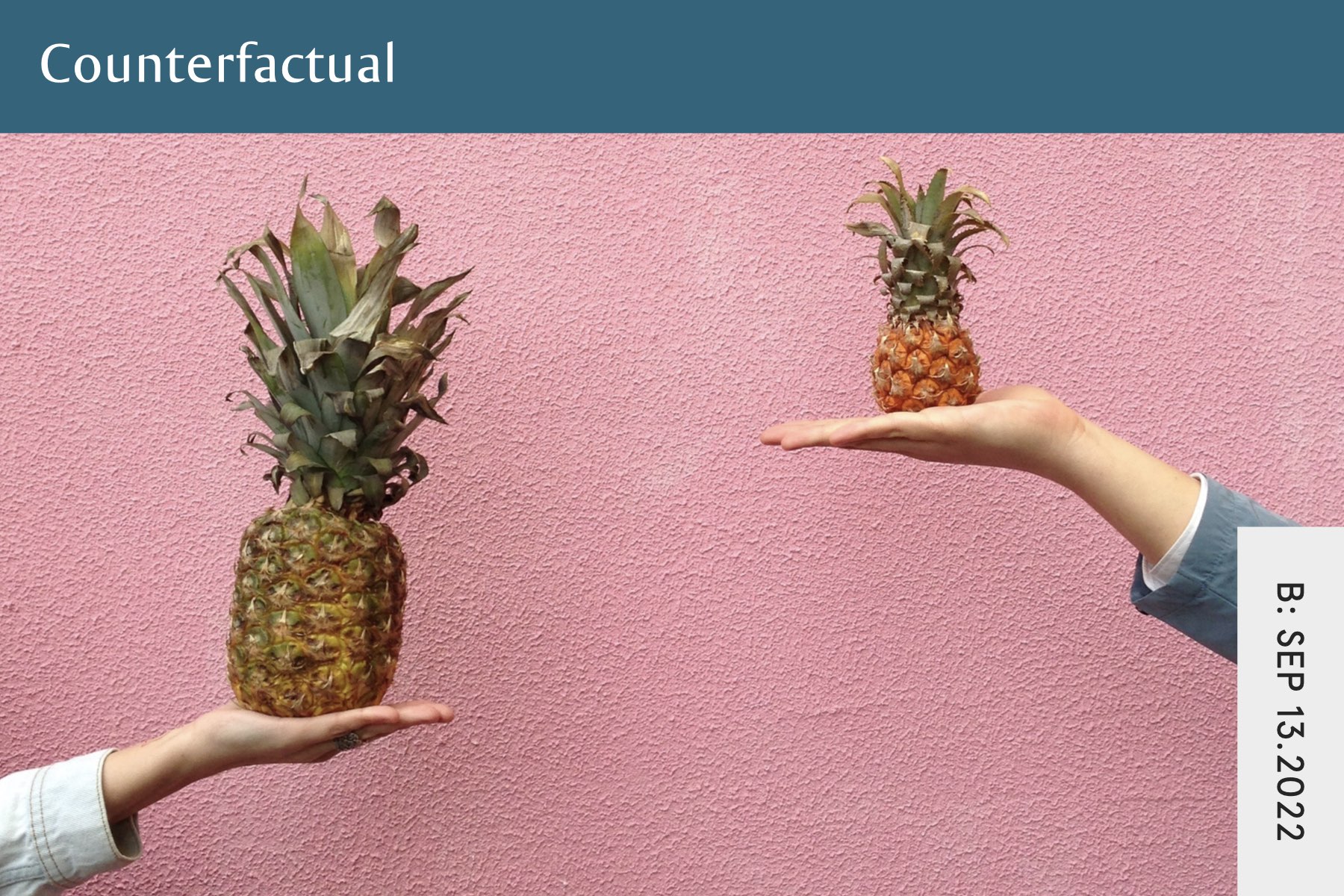 Counterfactual Seven Health Eating Disorder Recovery and Anti Diet