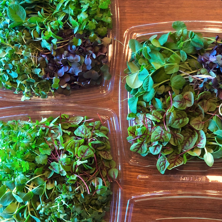 Variety Pack Seven Acre Farm