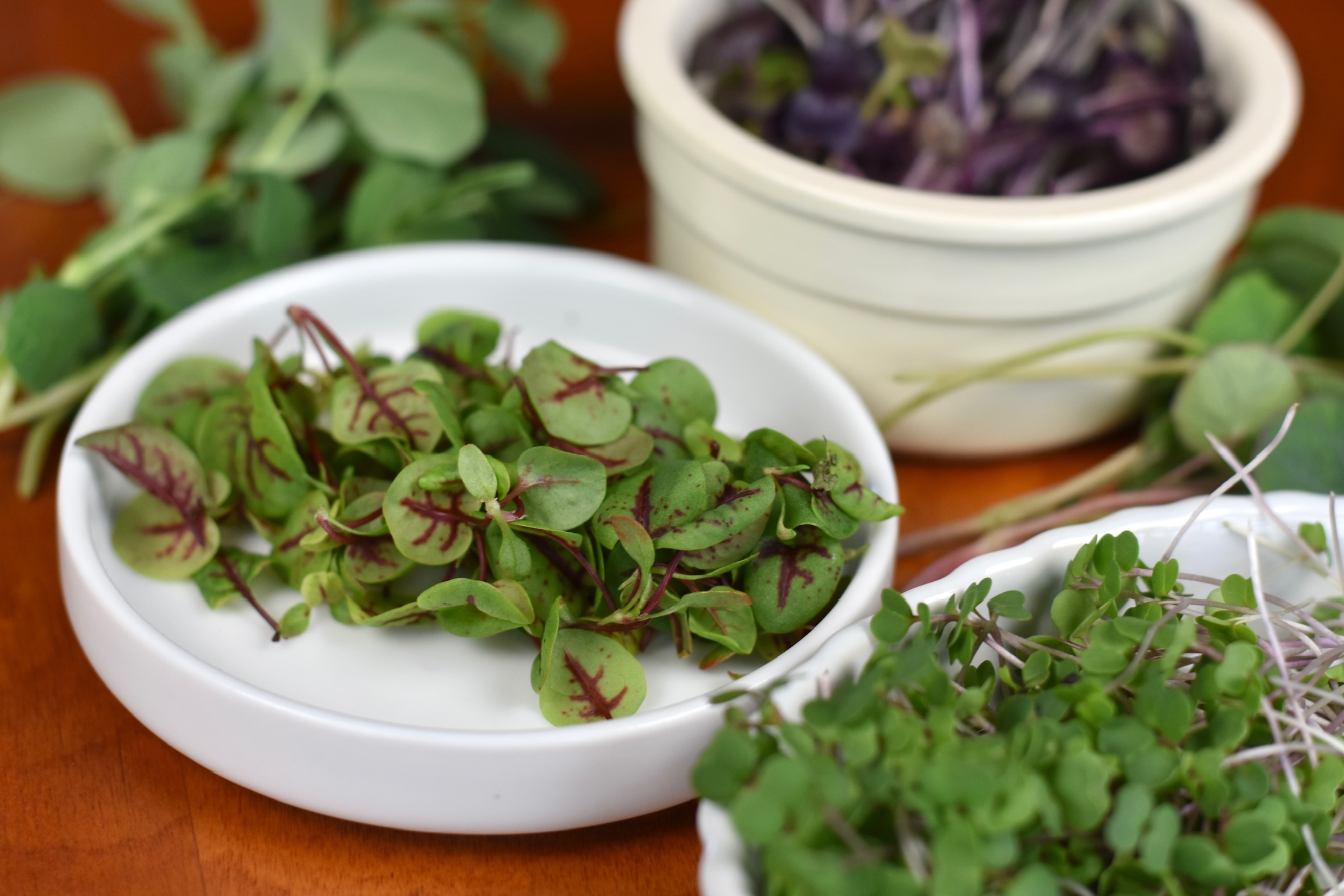 Sweet & Mild (2pk) Seven Acre Farm