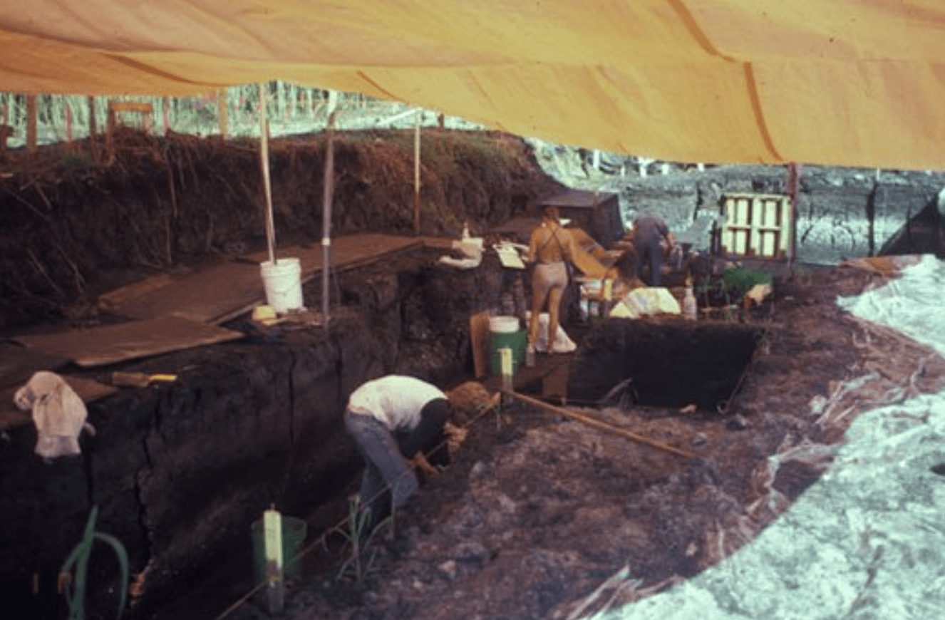The Windover Bog Culture Florida’s Hidden History Seven Ages