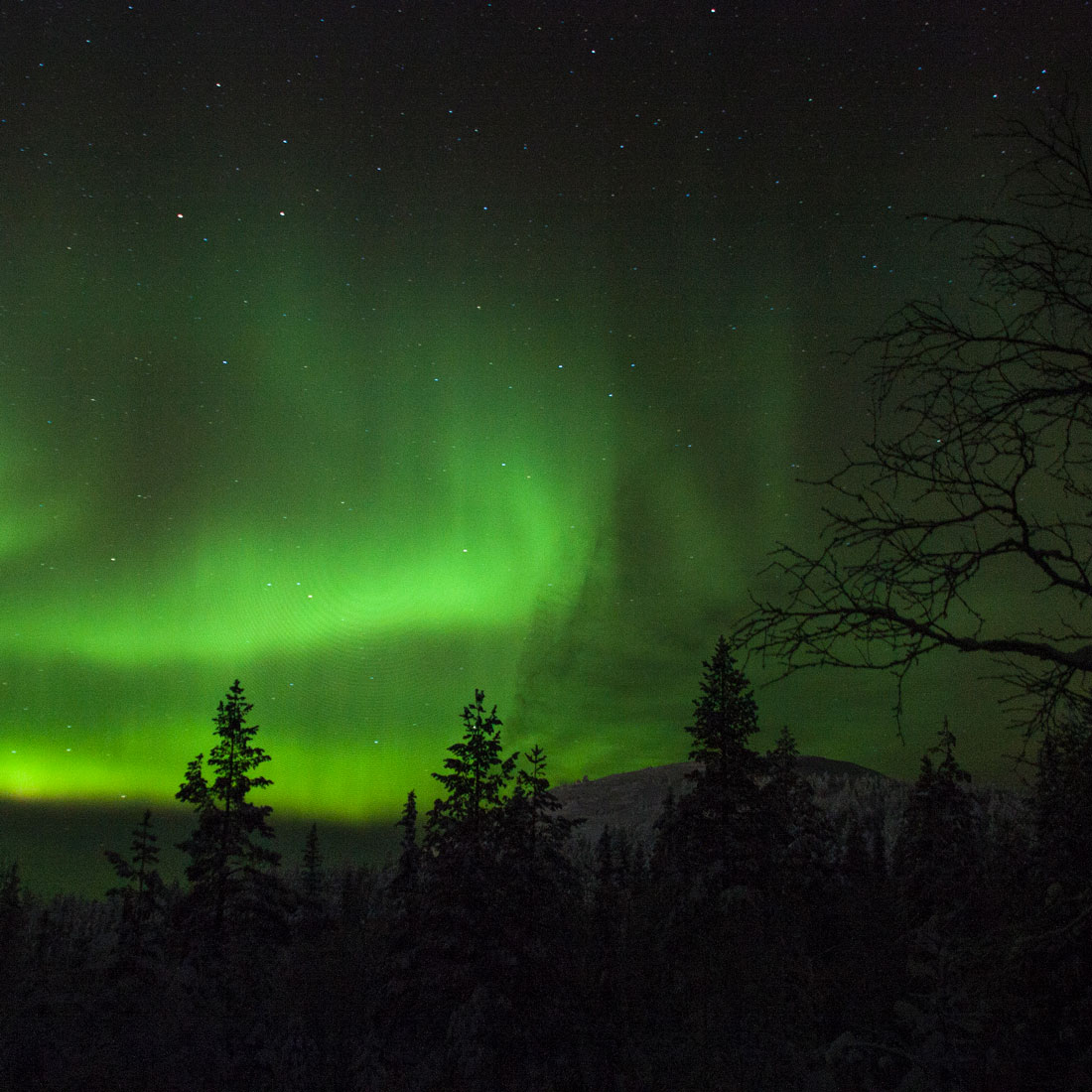 Northern lights Ontario SulmanLoulou