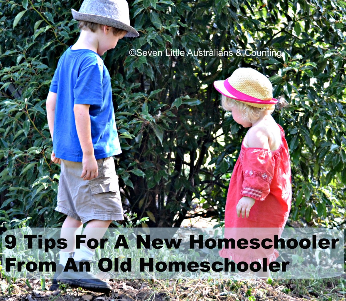 9 Tips For A New Homeschooler From An Old Homeschooler Seven Little