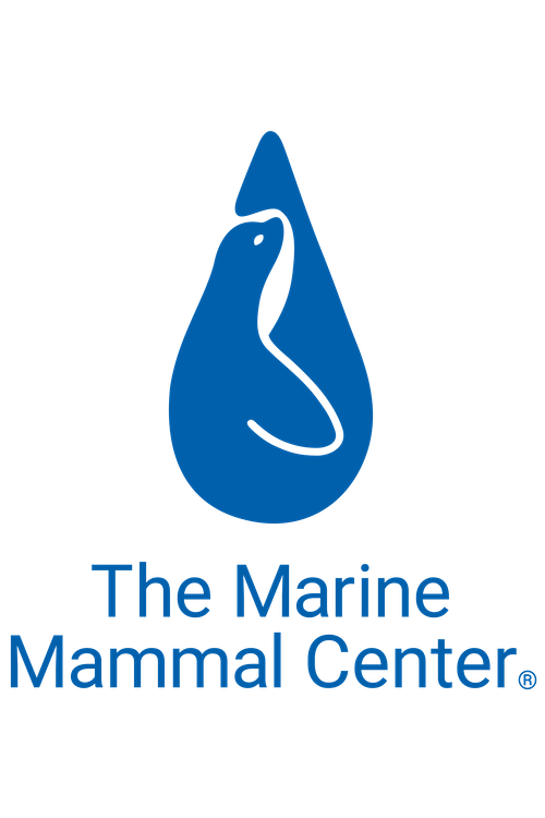 Marine Mammal Medicine and Pathology Veterinary Internship — SEVENSEAS
