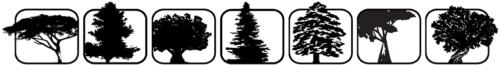 About Seven Trees Woodworking