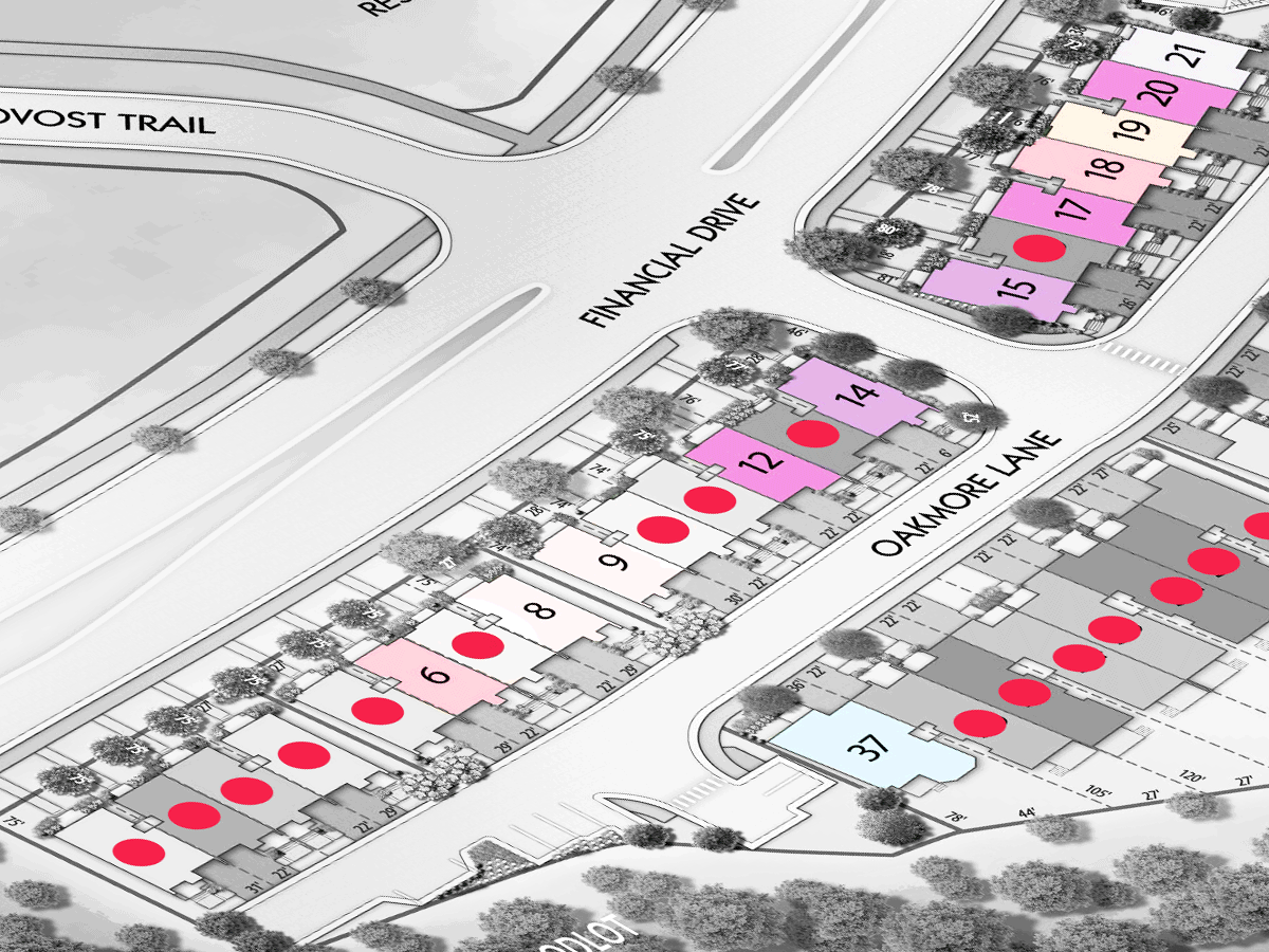 SEVENTYONE FOREST GATE AT LIONHEAD