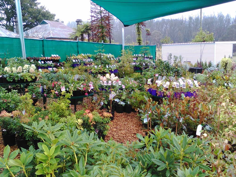 Bay Tree Nursery Seven Valleys Tourism