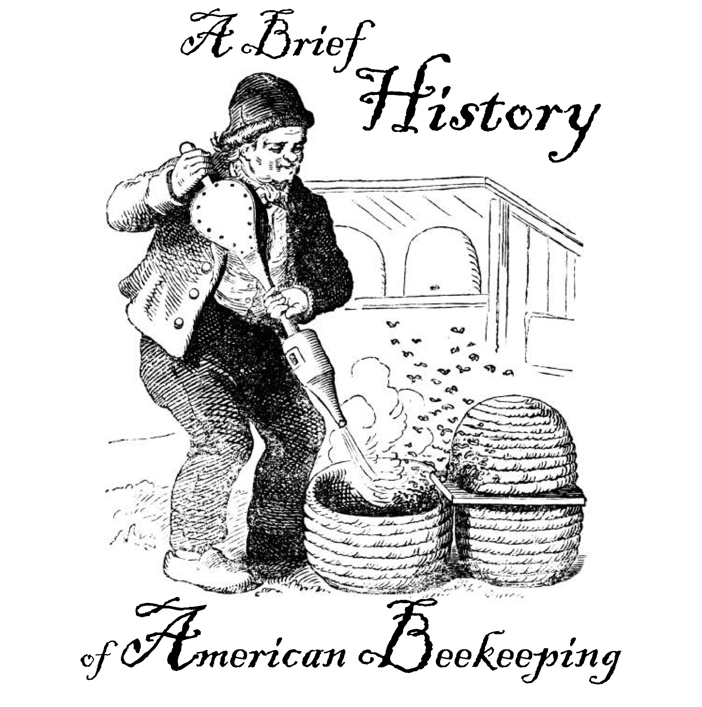 A Brief History of American Beekeeping Severt Hives and Homestead