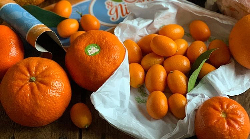 Seville Oranges Discover the genuine Seville Oranges.