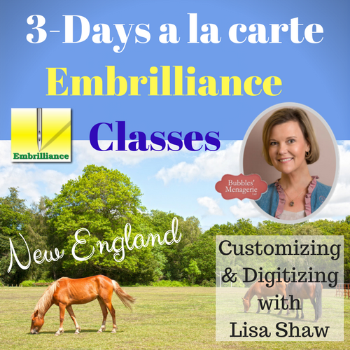 Embrilliance Classes 2 days a la carte Concord, NH Bubbles' Menagerie