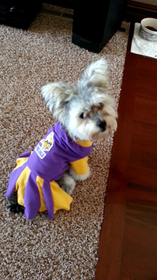 Simplicity Bark Avenue 3939 pattern review by kristalkk