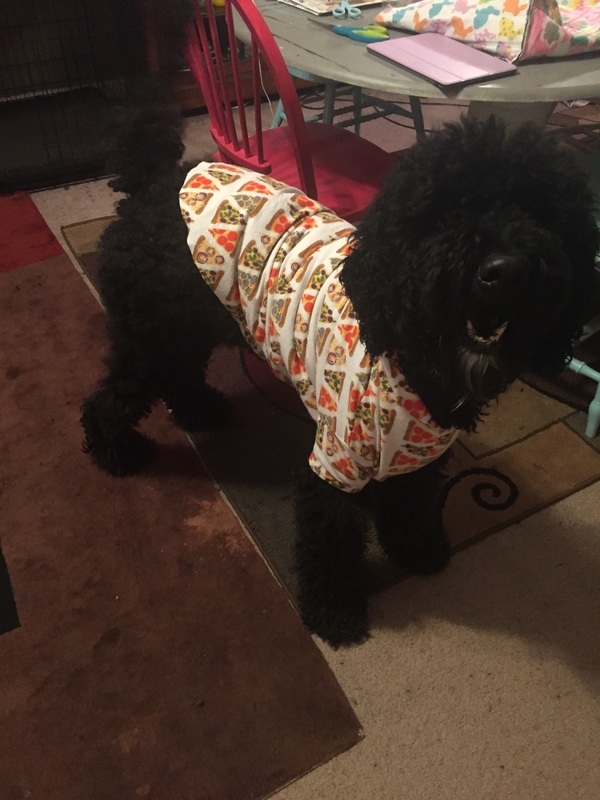 Simplicity Large Size Dog Clothes 1578 pattern review by CourtneyBailey