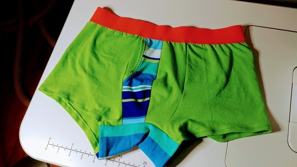 Thread Theory Designs 05 Comox Trunks