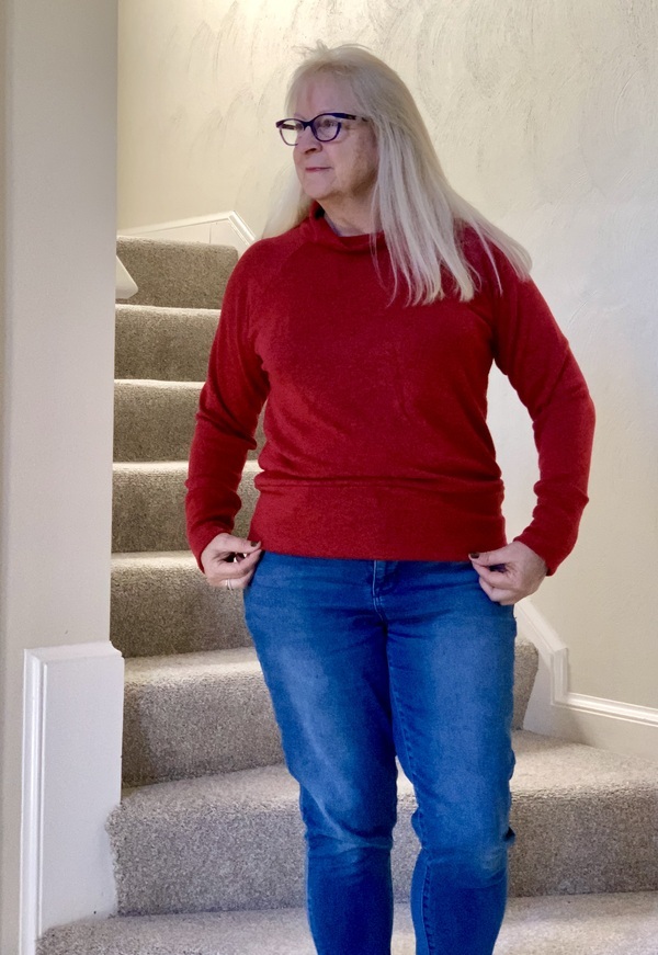 Sew House Seven Toaster Sweaters 110 pattern review by MilesImaging