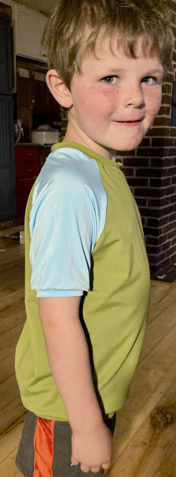 Brindille & Twig Scuba Hood Raglan 067 pattern review by jneail