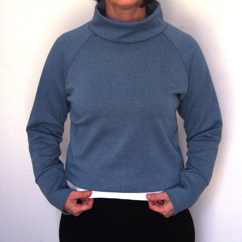 Sew House Seven Toaster Sweaters 110 pattern review by NataliaVintage