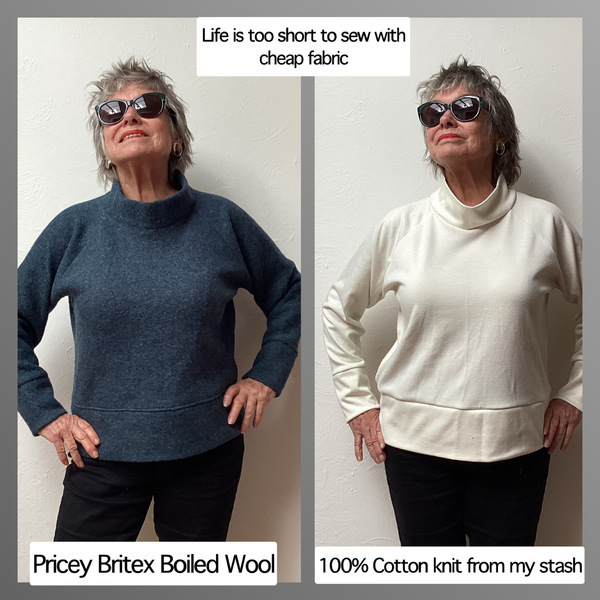 Sew House Seven Toaster Sweaters 110 pattern review by Crabtree