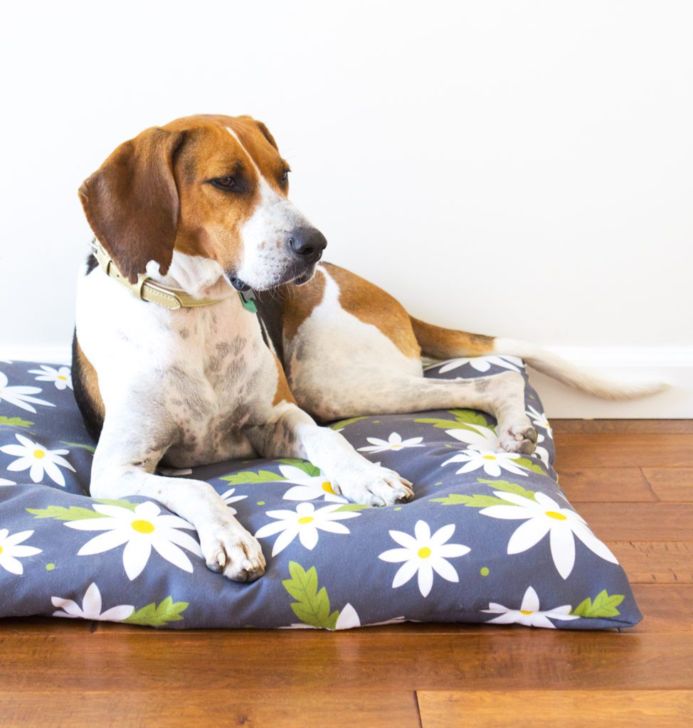 DIY Zippered Dog Bed Cover FREE Sewing Tutorial Sewing 4 Free