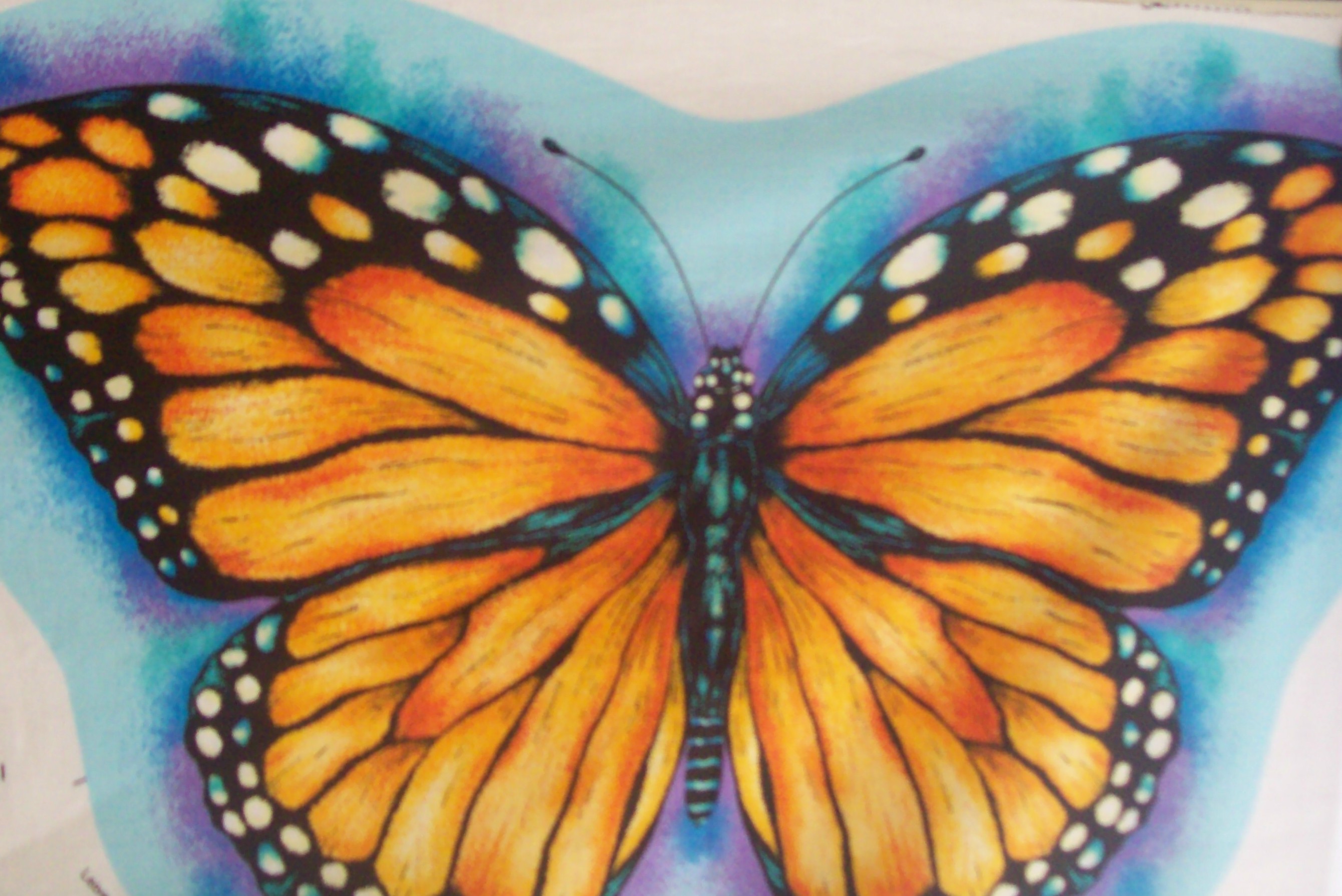 VIP Cranston Printworks Monarch Butterfly cut out pillow easy