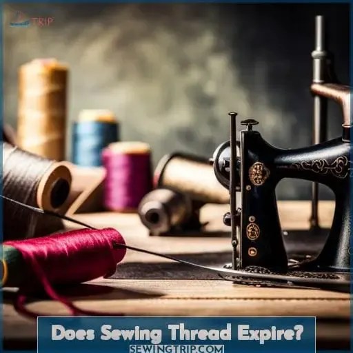 Does Sewing Thread Go Bad? How to Test and Store Old Thread