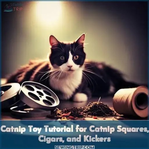 How to Sew a Cat Kicker Toy DIY Guide