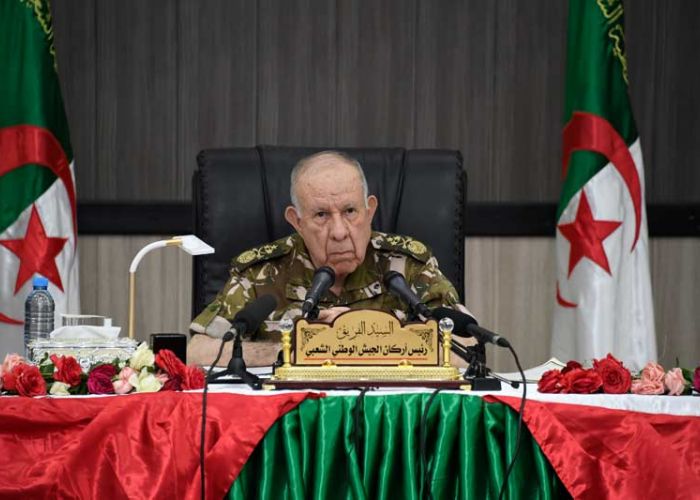 Chanegriha L’ANP poursuivra l’exécution de ses "nobles missions