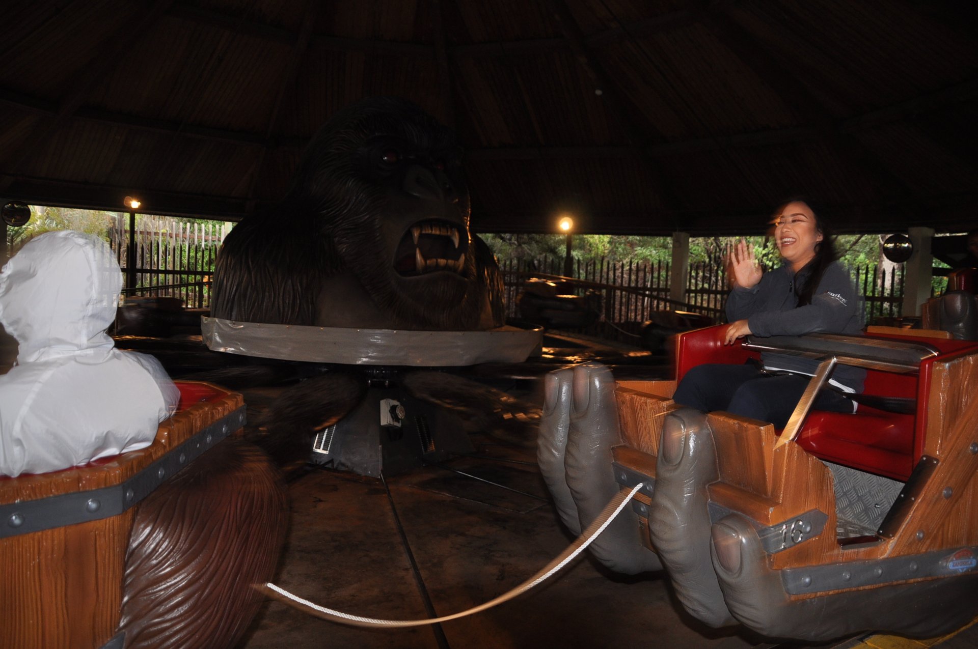 Thrilla Gorilla Family Ride Six Flags Discovery Kingdom