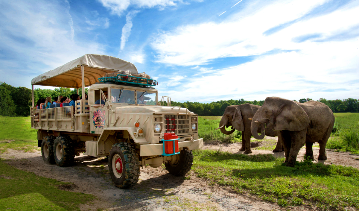 Wild Safari Six Flags Great Adventure Resort Animal Encounter