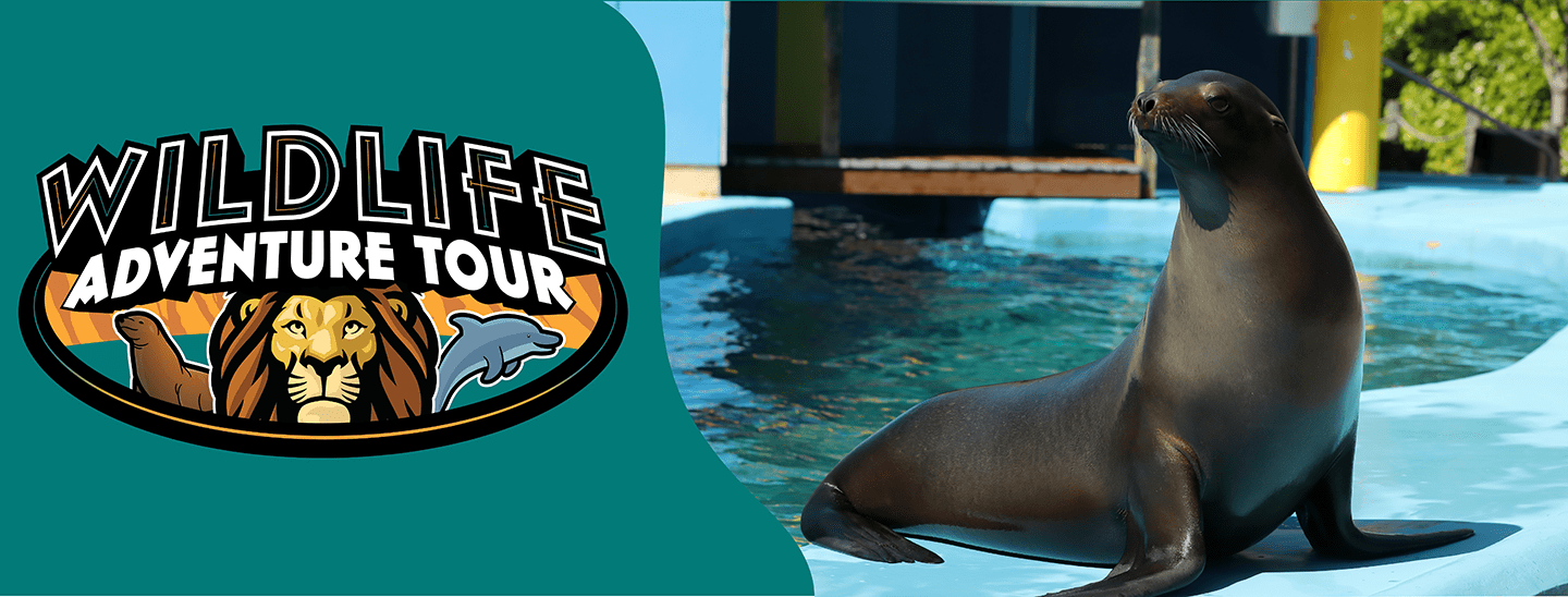 Wildlife Adventure Tour Six Flags Discovery Kingdom