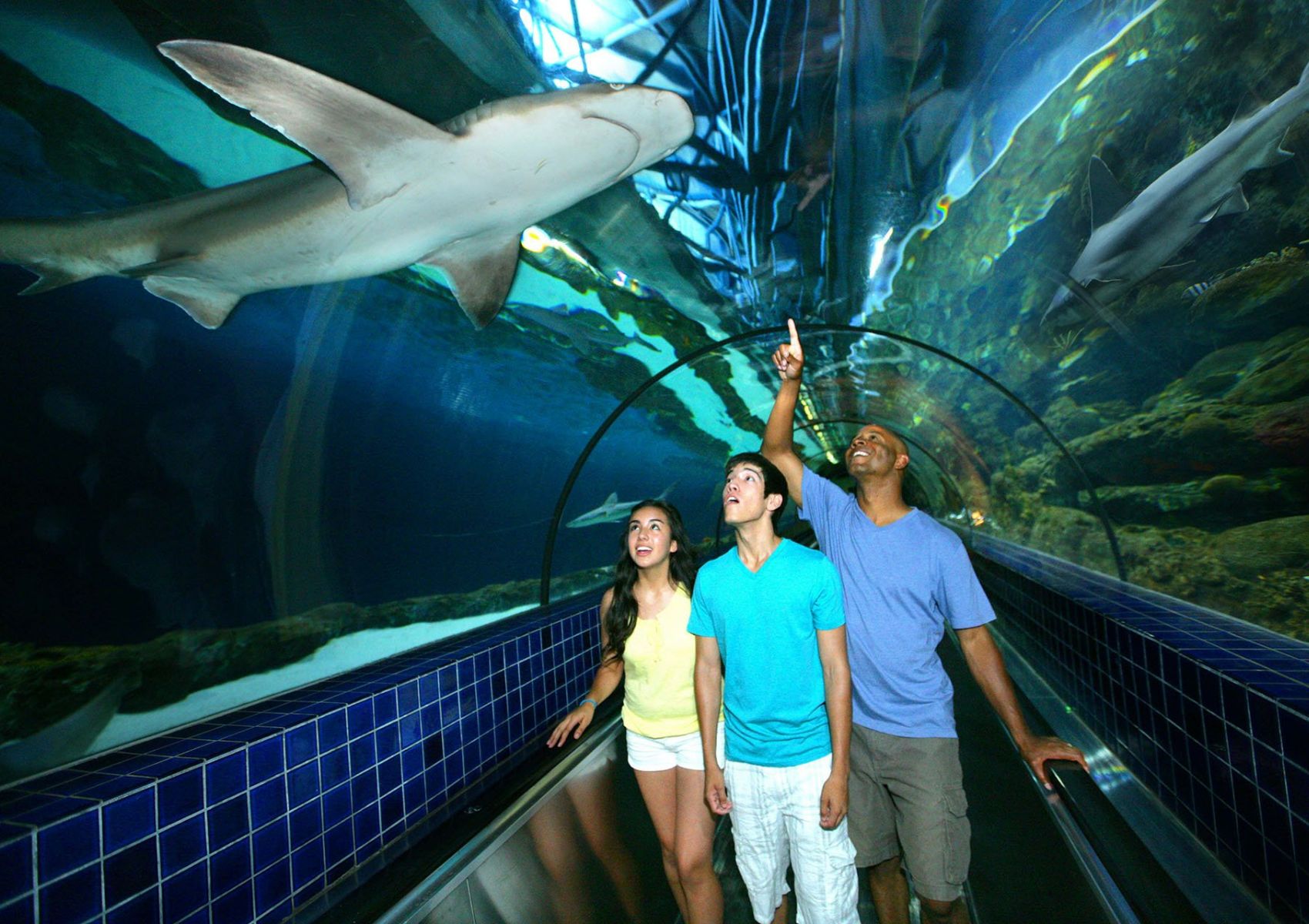 Things to do Bay Area Six Flags Discovery Kingdom Thrills Await