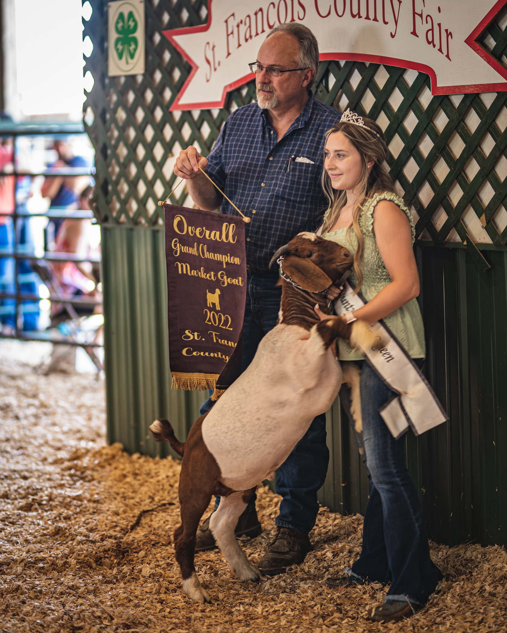 4H/FFA Livestock Shows and Competition St. Francois County Fair