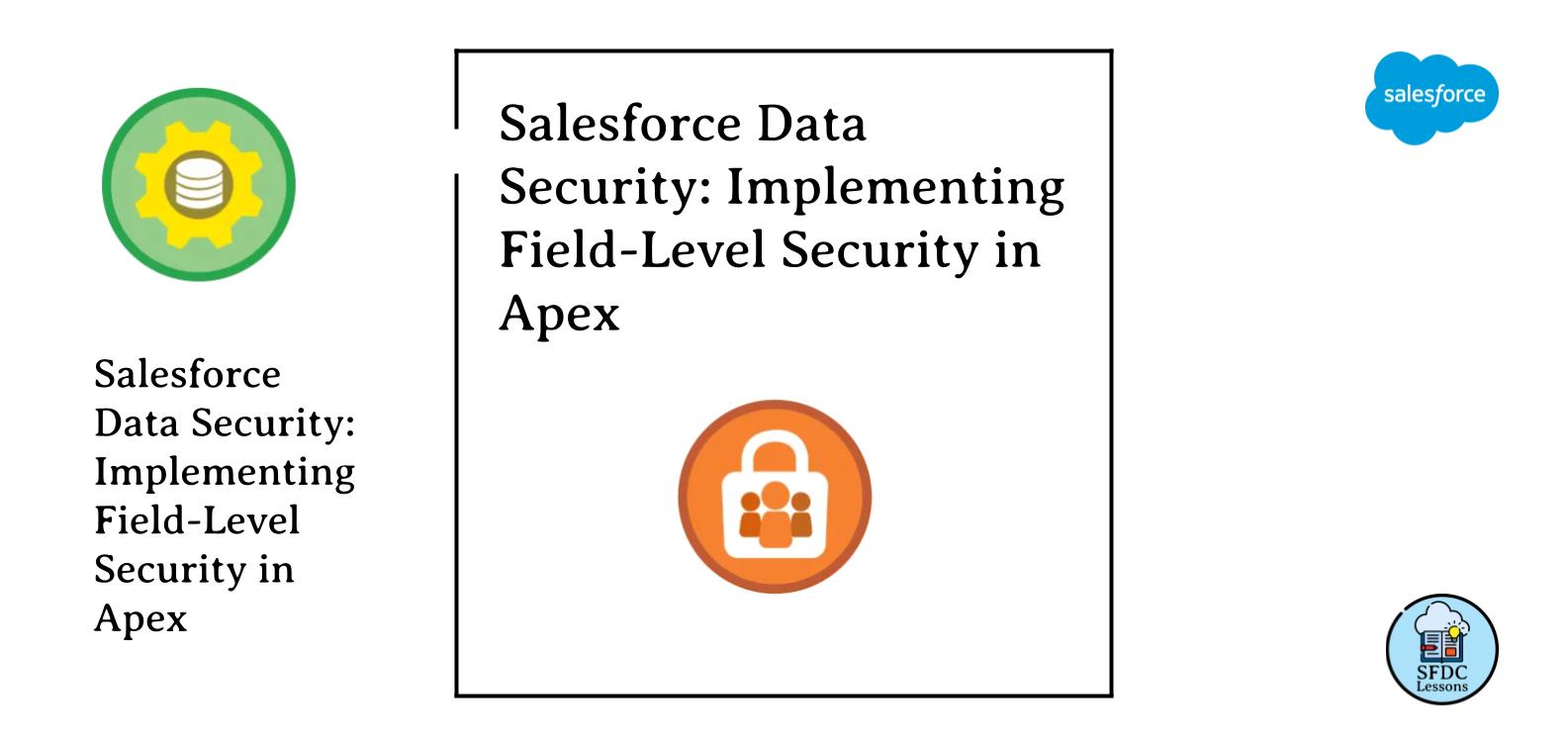 Salesforce Data Security Implementing FieldLevel Security in Apex