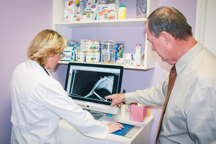 Our 24hour Emergency Animal Hospital in Broward County