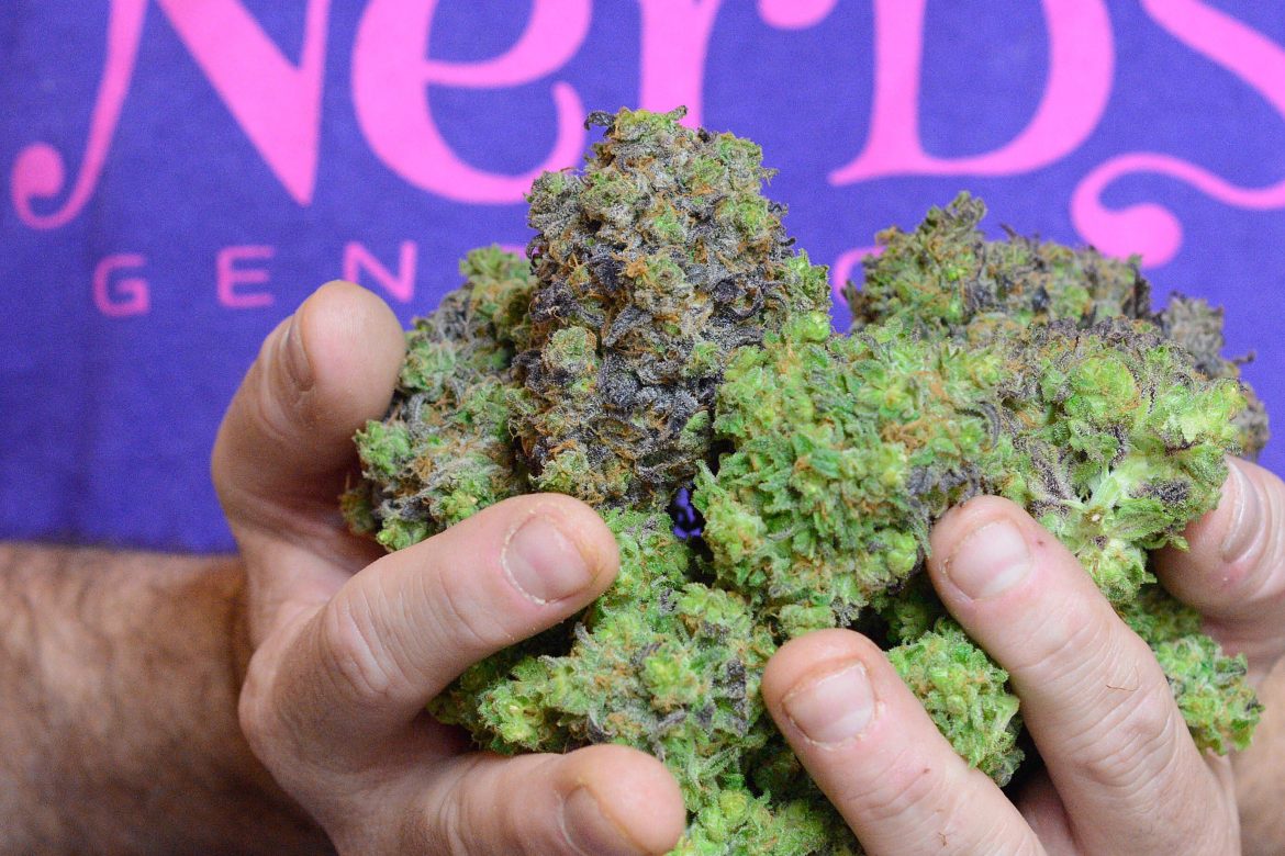 The Powerful Benefits of Using Rosin Compared to Other Extracts Sfi