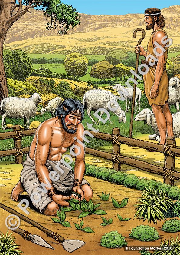 Cain and Abel Store Foundation Matters