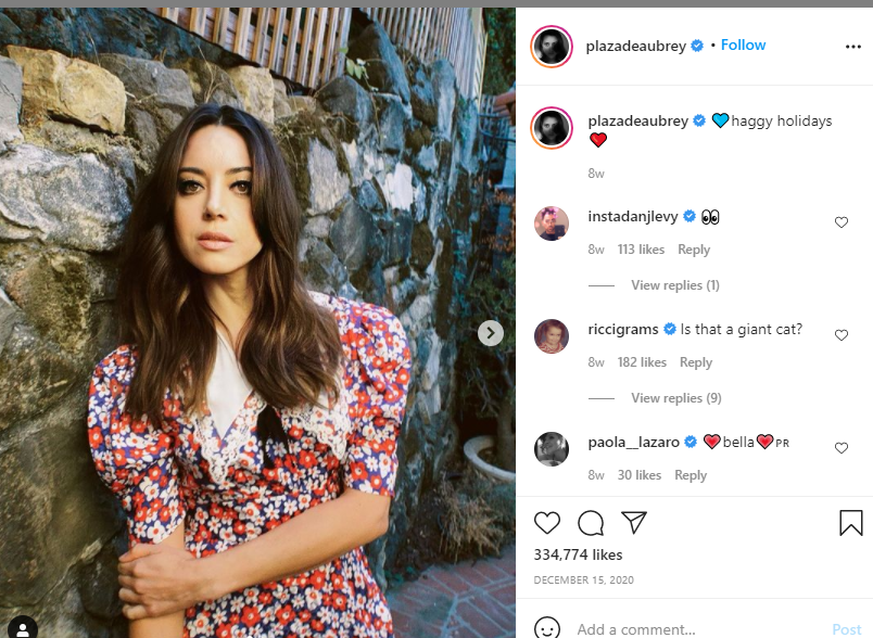 Aubrey Plaza Biography, net worth, career, relationship, young age, sister